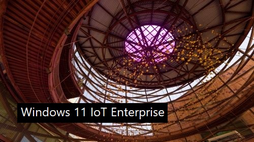 Windows 11 IoT Enterprise