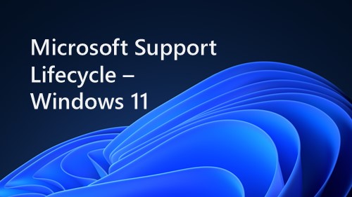 Microsoft Support Lifecycle W11 Banner