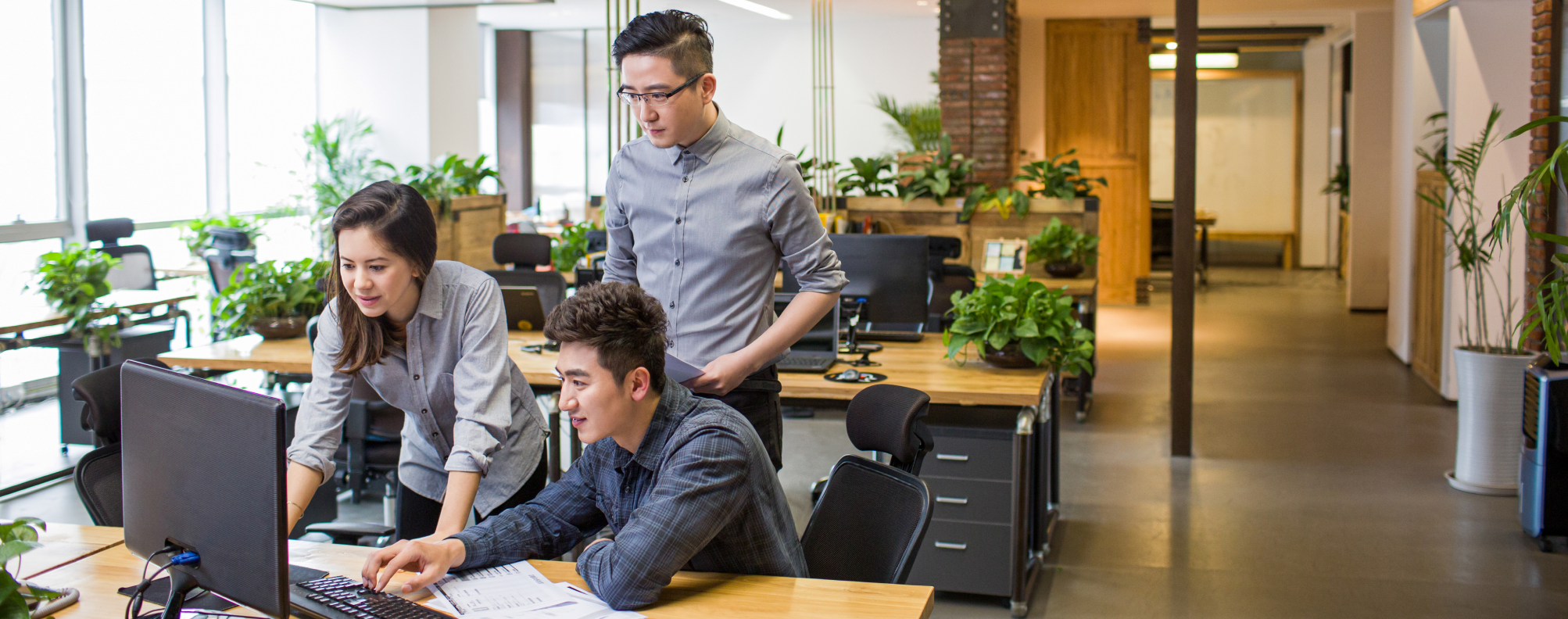 Three people collaborate at a computer in a modern, open-plan office with natural light and green plants.