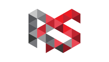 Redd Solutions company logo