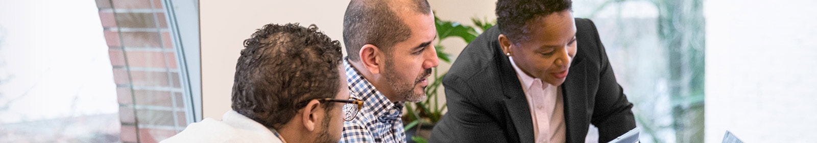 Tended ltd case study picture