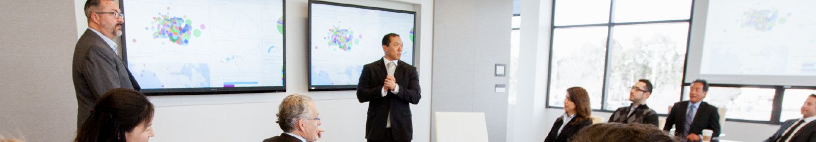 A group at a business presentation