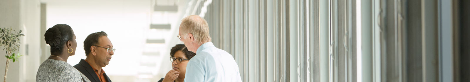Four colleagues discuss a new idea in a hallway