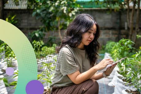 A person holding a tablet kneeling next to a row of plants