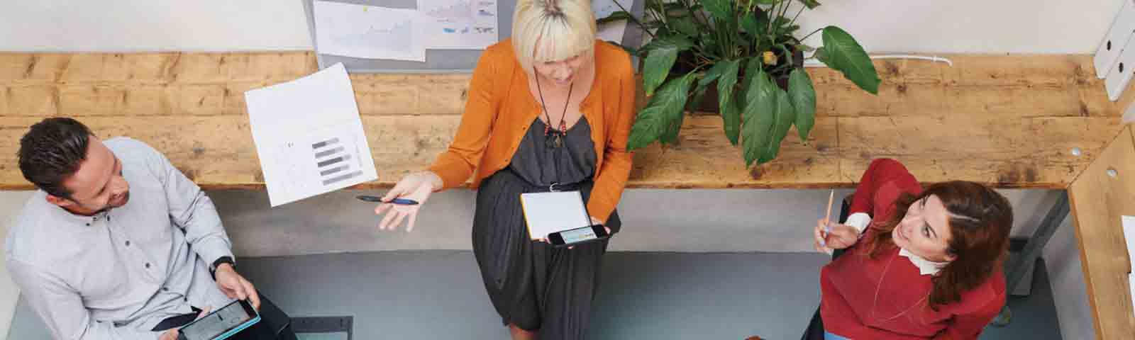 Idenet FWF 540x413 a