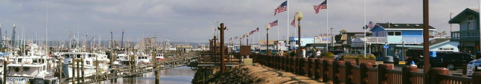 People look at boats in a harbor