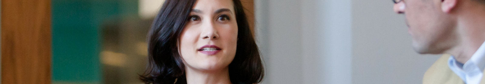 CEO leading a meeting. Business attire.