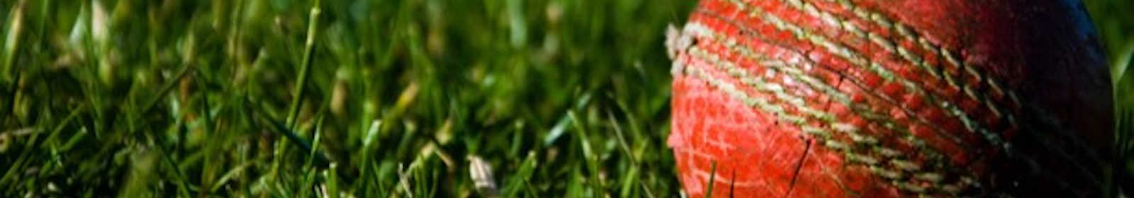 Cricket ball lying in grass