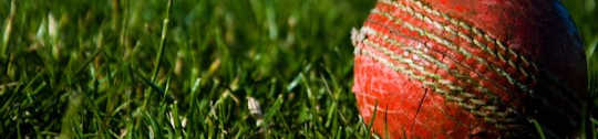 Cricket ball lying in grass