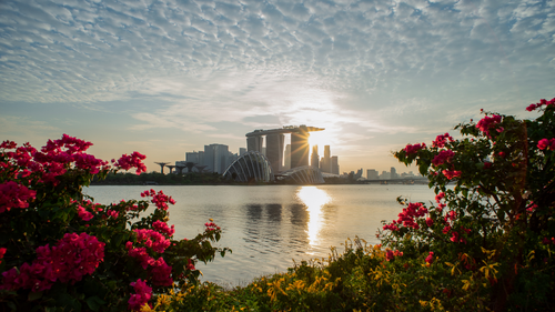 image of singapore and plants