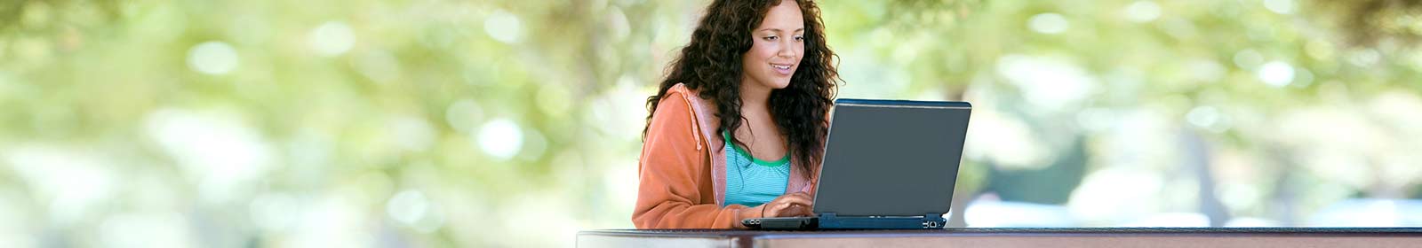 Partner accessing CRM Online Apps