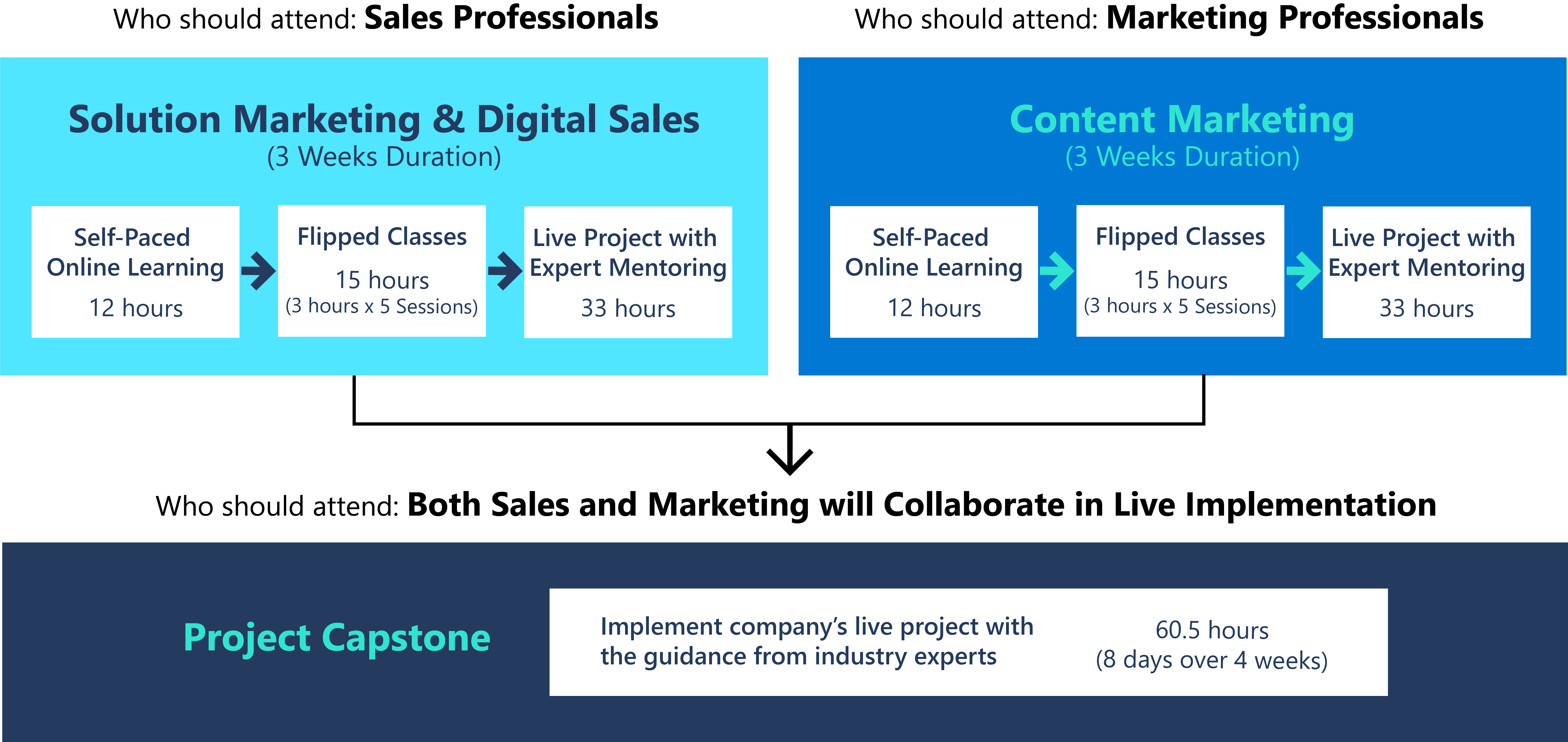 Detail of Specialized Courses for Sales and Marketing Professionals
