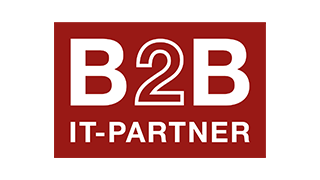 B2B IT partner