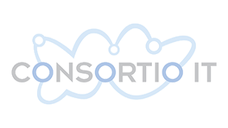 ConsortioIT 25 cm