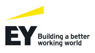  Ernst & Young partner logo