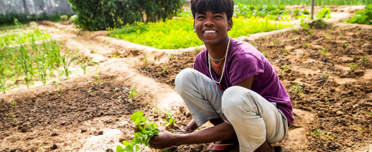 A young, smiling farmer harvests crops by hand