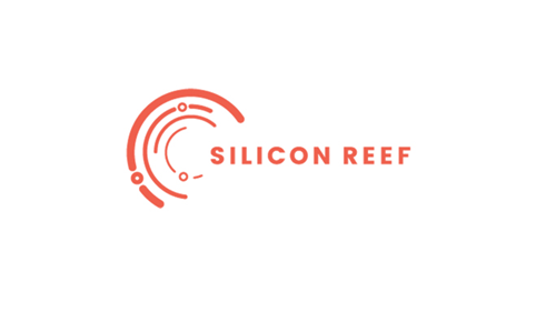 Silicon partner logo
