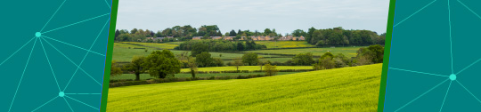 Paisaje con campos verdes y casas al fondo