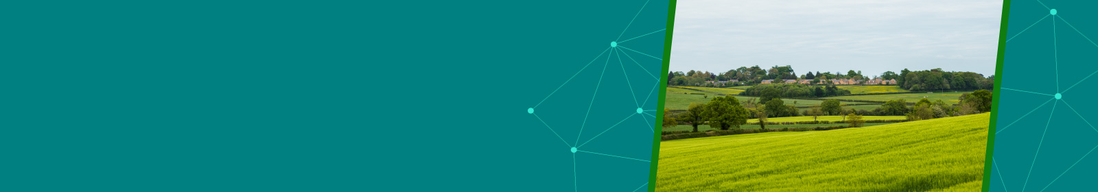 Paisaje con campos verdes y casas al fondo