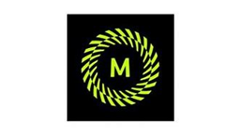 MandoGroup partner logo
