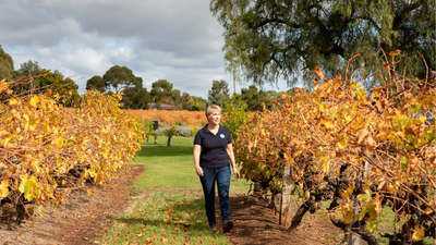 Women walking through orchard