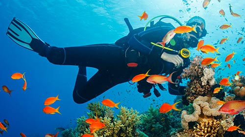Scuba diver swimming with fish and coral