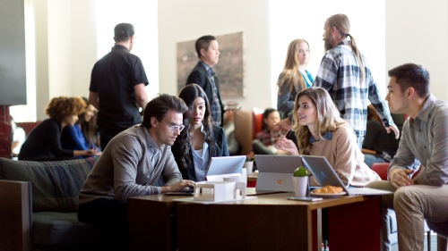 people working on laptops