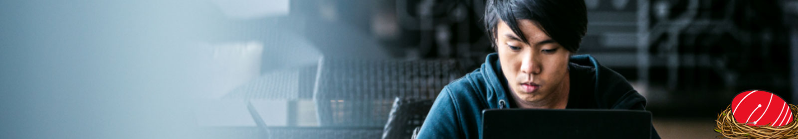 Person working with laptop