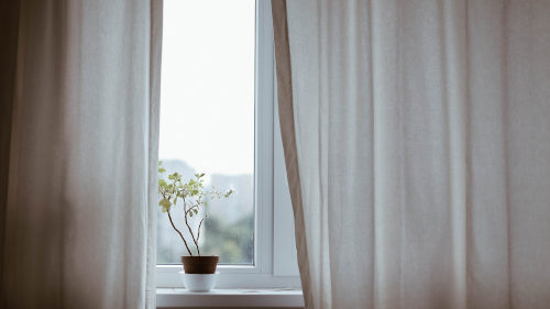 Es ist ein Fenster zu sehen. Rechts und links davon sind beige Vorhänge. Auf der Fensterbank steht eine Blume.