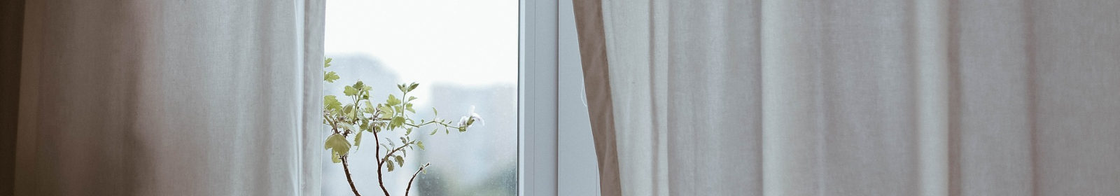 Es ist ein Fenster zu sehen. Rechts und links davon sind beige Vorhänge. Auf der Fensterbank steht eine Blume.