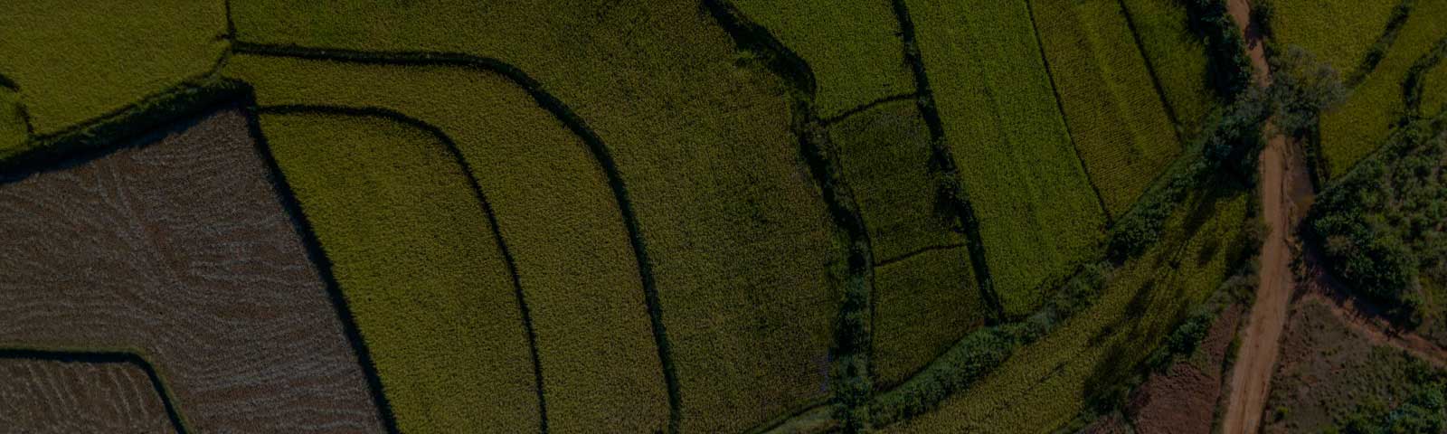 Aerial view of fields in geometric pattern