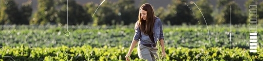 Woman farming in a field of crops