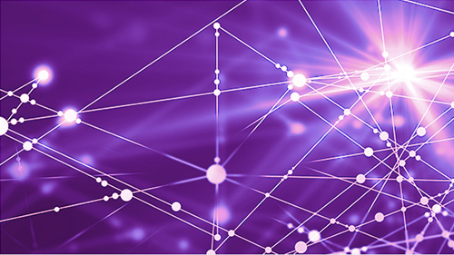 Image of a network web