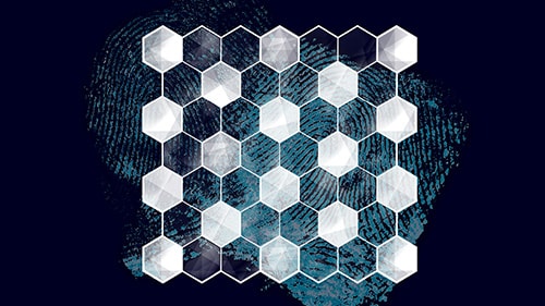 Hexagonal pattern over fingerprints