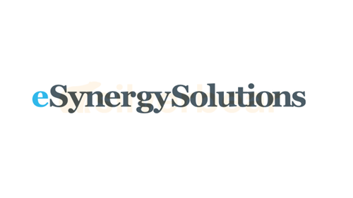 eSynergy partner logo