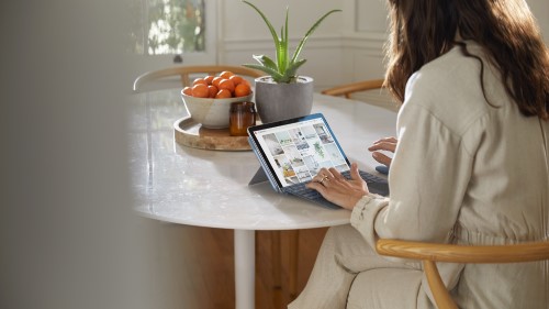 Person using Go 2 at dining room table