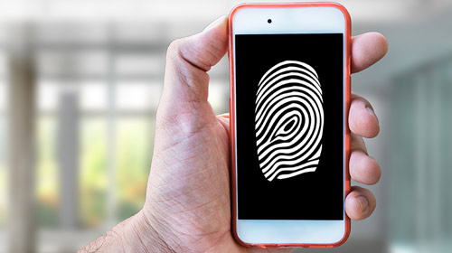 The primary reason for adopt 500x280